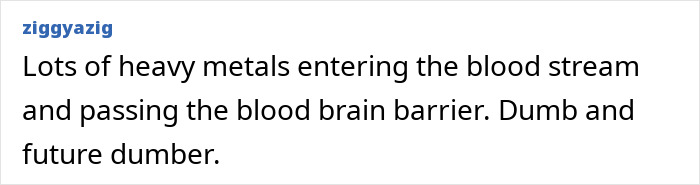 A comment from ziggazig discussing the potential health risks of heavy metals from blackout tattoos.