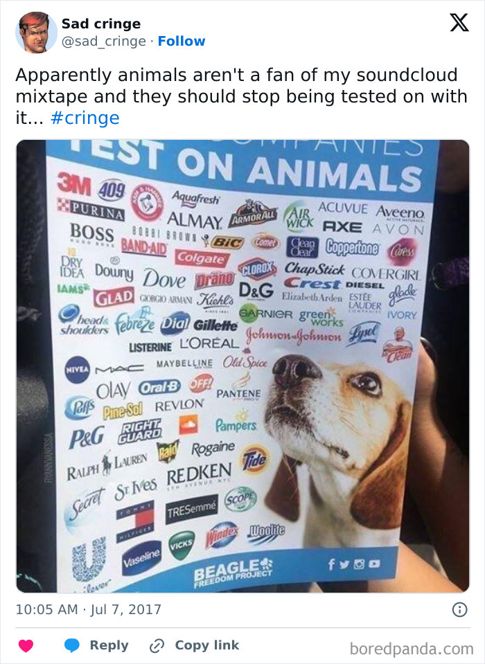 A cringy flyer listing companies that test on animals, an incredibly sad practice.