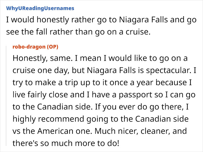 Reddit comments about vacation preferences, mentioning Niagara Falls and cruises.