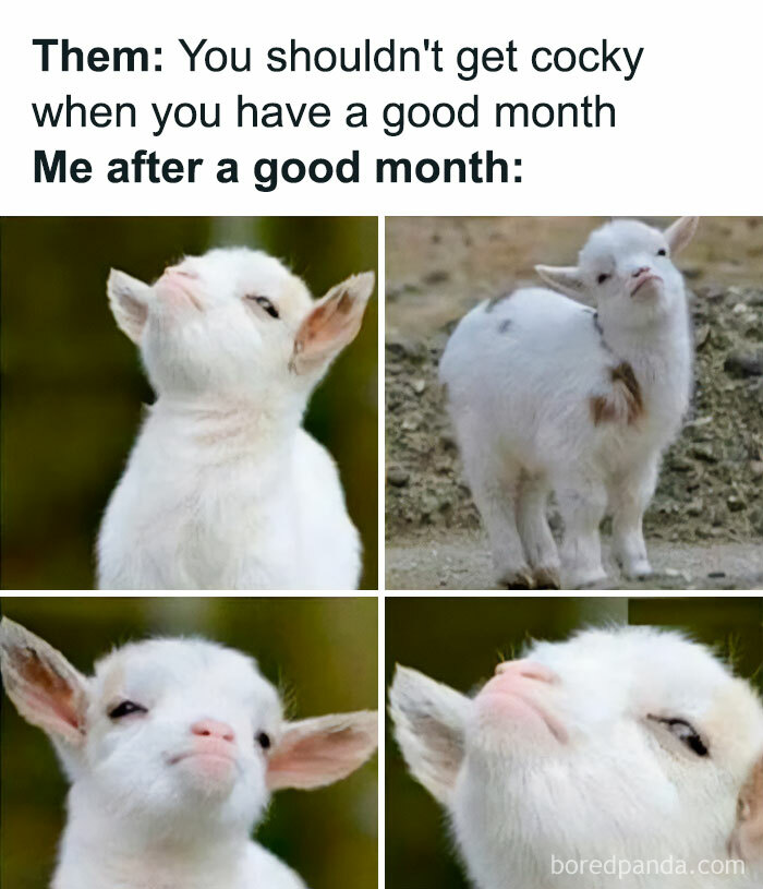 Funny sales meme showing smug baby goat after a good sales month