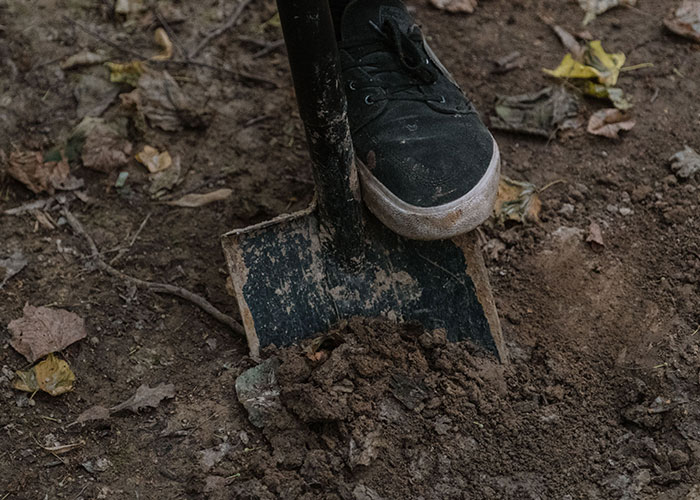 Foot digging soil with shovel, illegal digging legal offense
