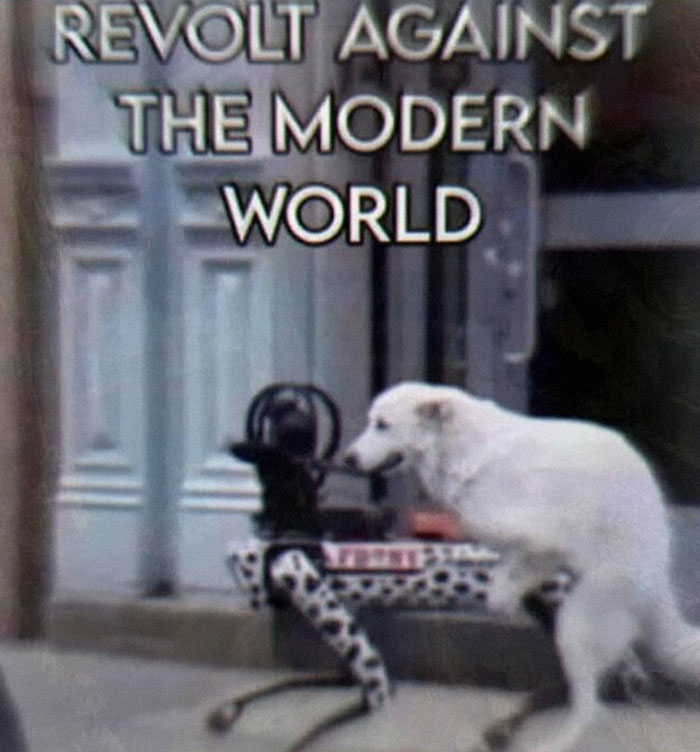 A white dog interacting with an old-fashioned sewing machine with text Revolt Against The Modern World, among chaotic and unhinged pics.