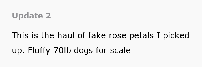 Text update describing haul of fake rose petals and dogs for scale