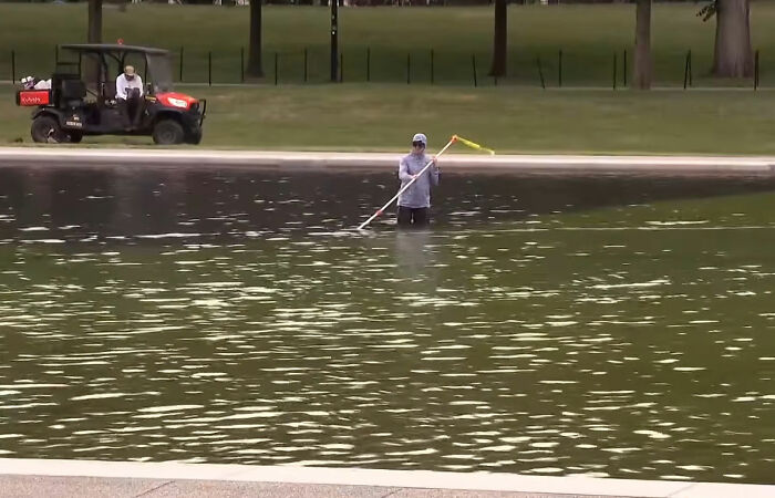The guy Trump hired to renovate the Reflecting Pool, in the pool, cleaning.