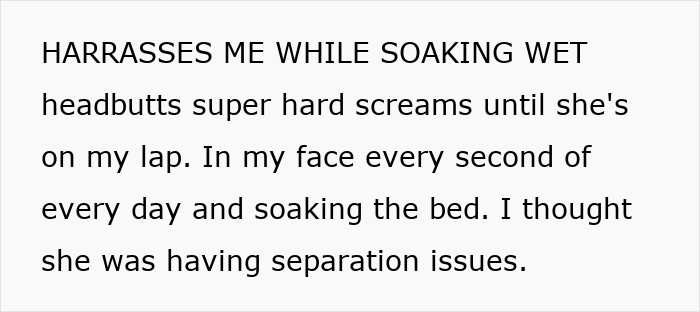 Woman Thinks Her Blind Cat Is Being Annoying, Realizes She Was Trying To Signal A Serious Problem Woman Thinks Her Blind Cat Is Being Annoying, Realizes She Was Trying To Signal A Serious Problem