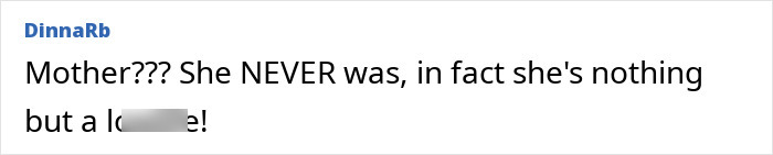 Screenshot of a user comment calling the mother of the baby crawling out at night a 'monster'.
