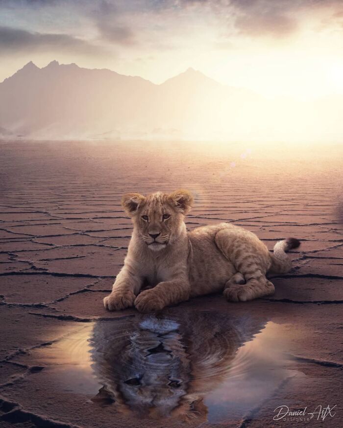 Artist Creates Dreamlike Photomanipulations That Feel Like Scenes From Another World