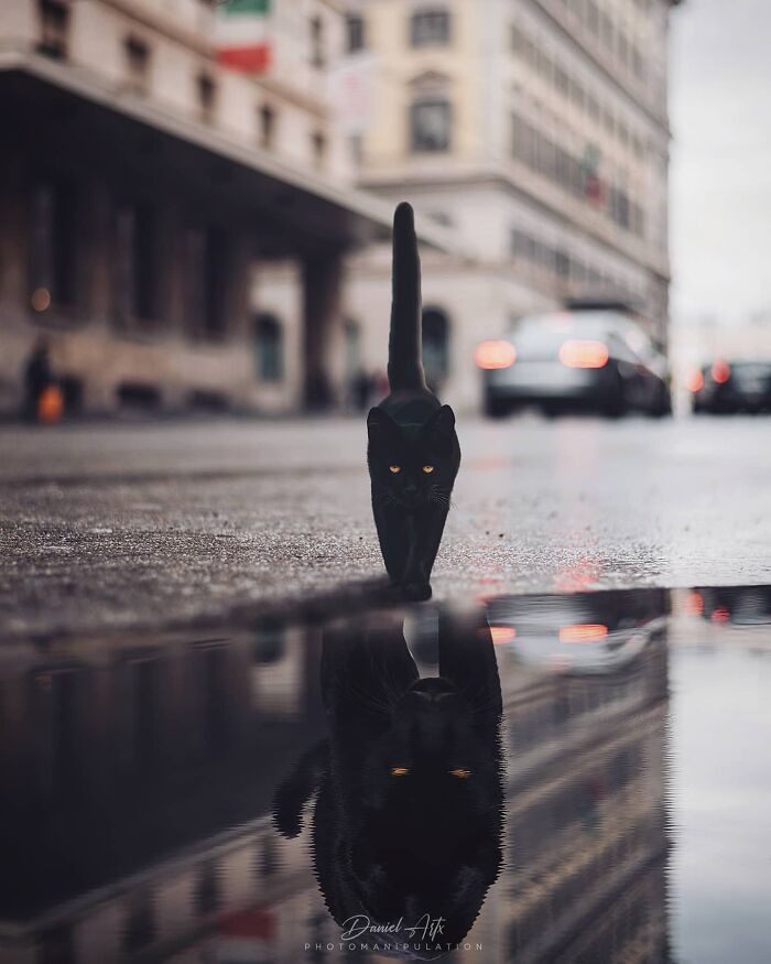 Artist Creates Dreamlike Photomanipulations That Feel Like Scenes From Another World