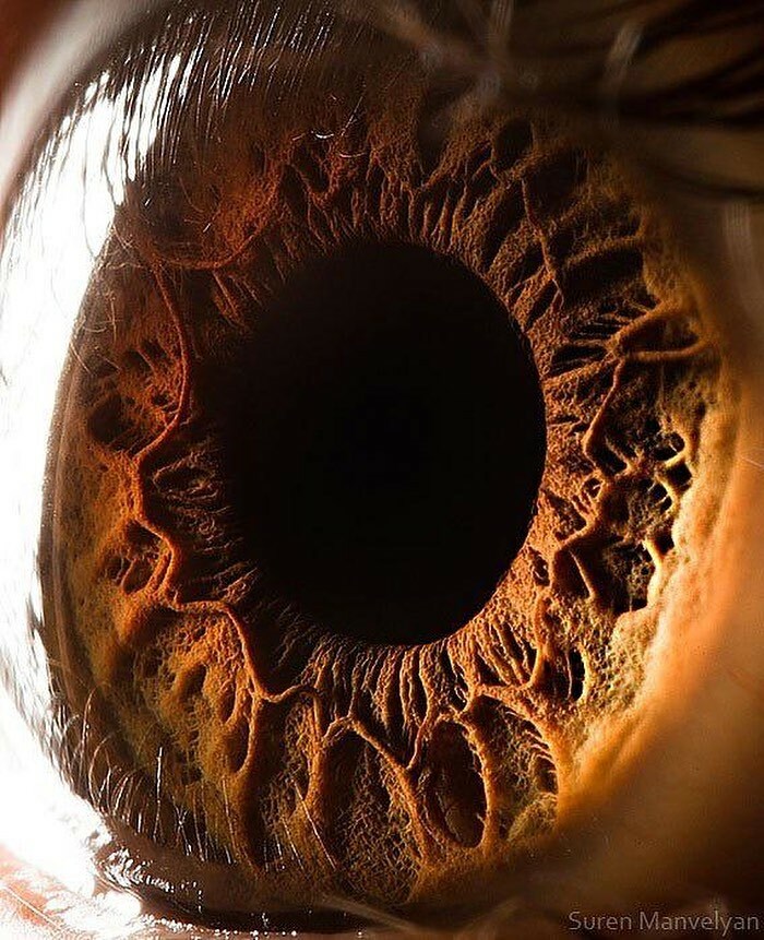 Eye - Super Close Up