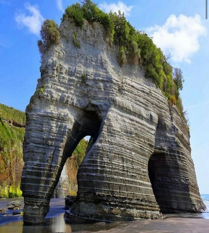 Elephant Shaped Rock In New Zealand