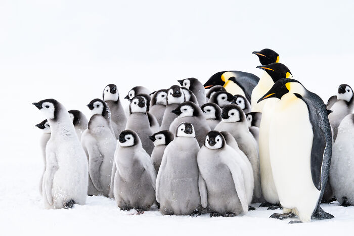 Creche By David Sinclair