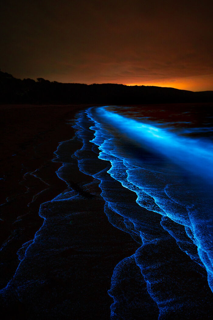 Just Another Bioluminescent Tantrum… By Deni Cupit