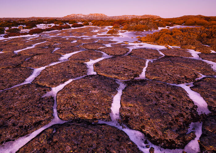 Dolerite Polygons By Grant Dixon