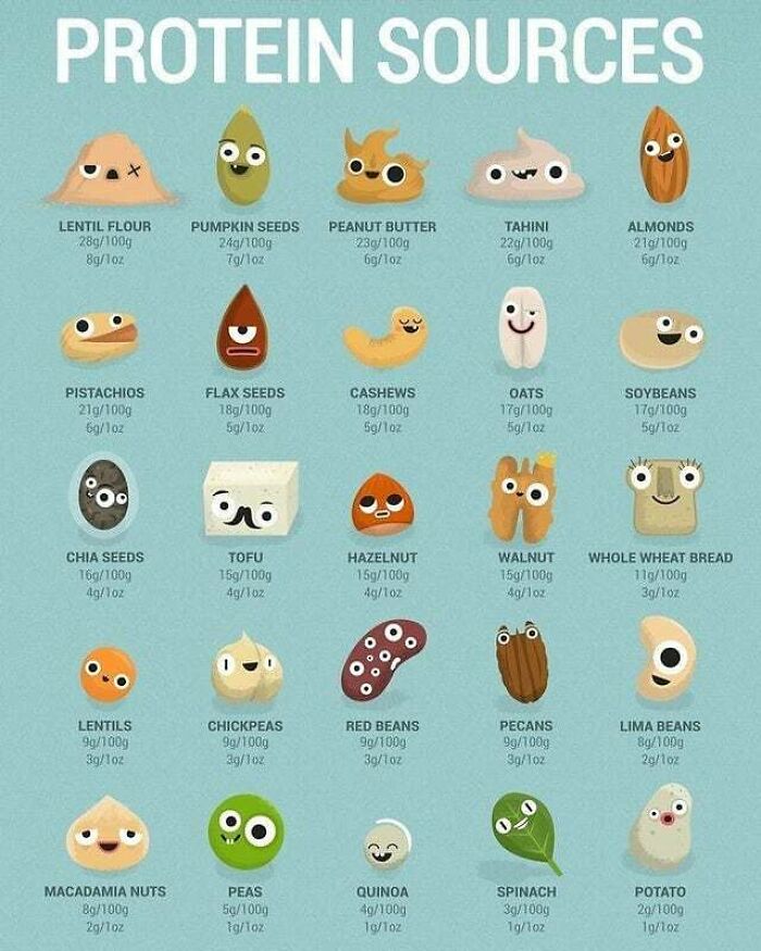 A chart of various protein sources like lentils, pumpkin seeds, and almonds, helping decide faster.