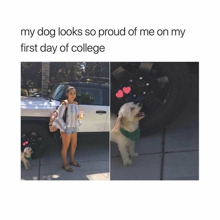 A girl stands next to a car with her proud dog by the wheel on her first day of college, a soul-healing image.
