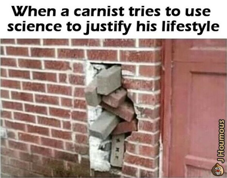 Broken brick wall representing carnist using science to justify lifestyle vegan memes