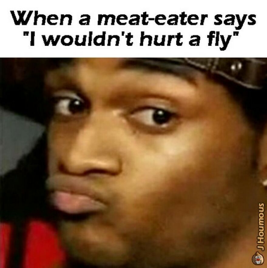 Man making doubtful face when meat-eater says he wouldn't hurt a fly vegan memes