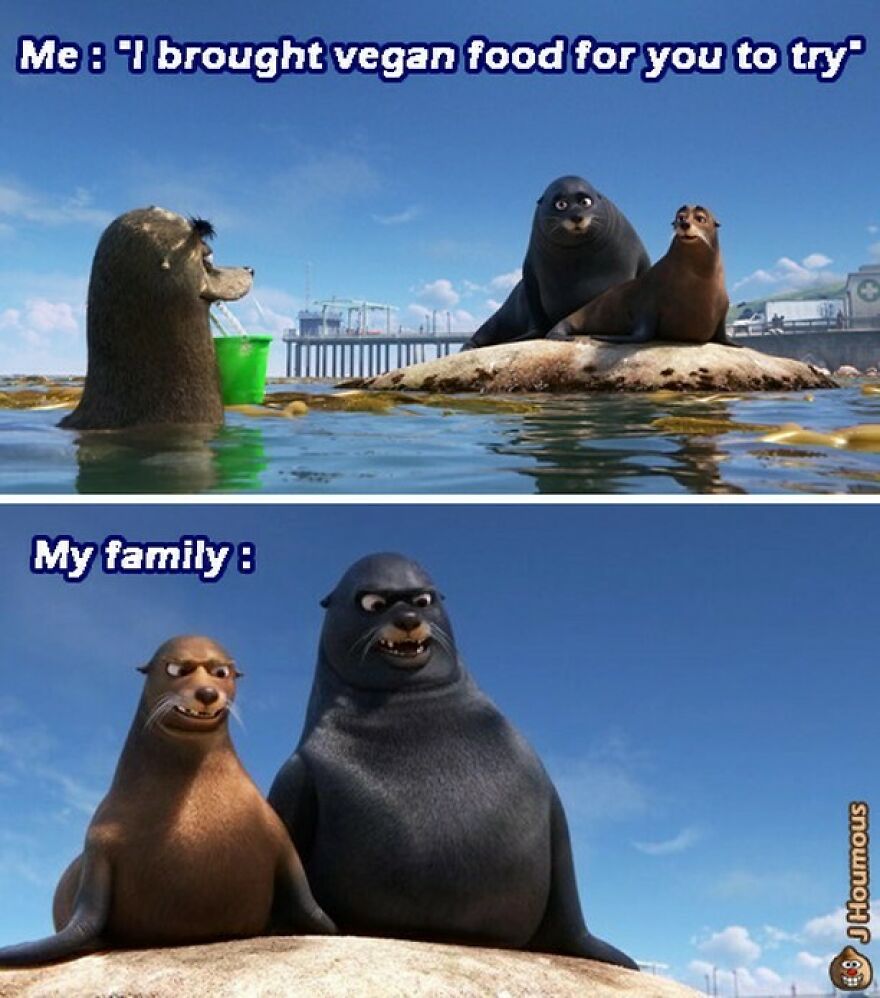Animated seals showing family reaction to bringing vegan food to try vegan memes