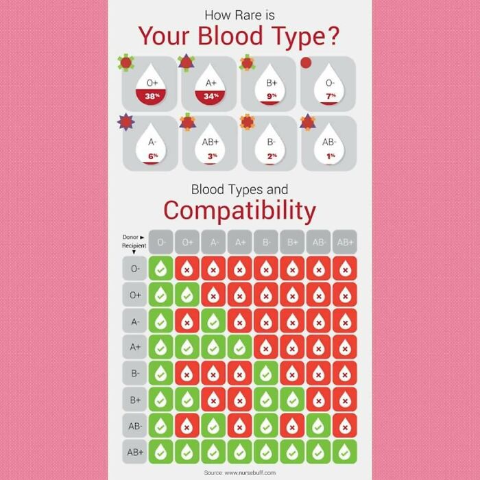 A detailed chart about blood types and compatibility, displaying percentages for quick decision-making.