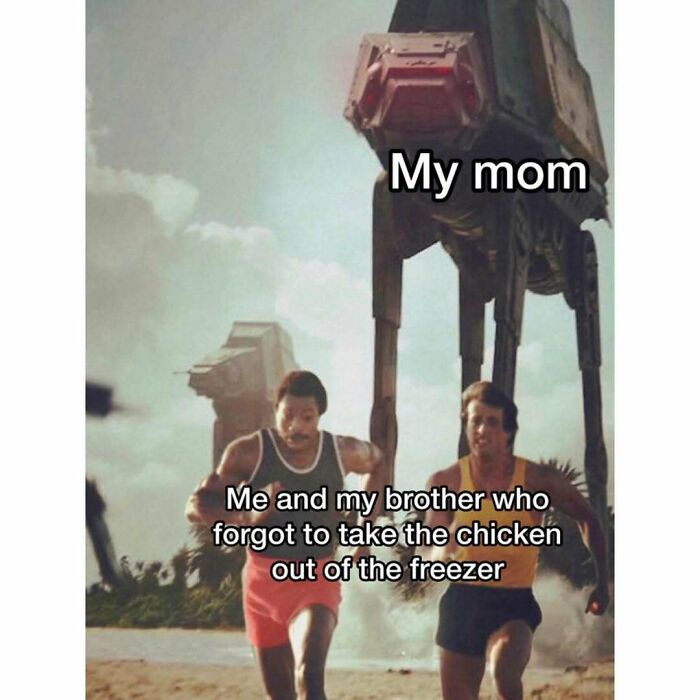 Funny silly memes about mom chasing kids who forgot chicken in freezer
