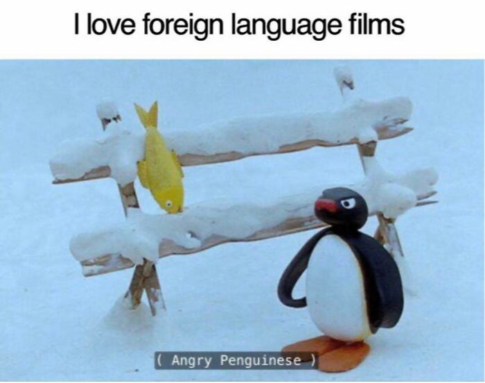 Funny penguin meme about loving foreign language films with snowy bench and fish