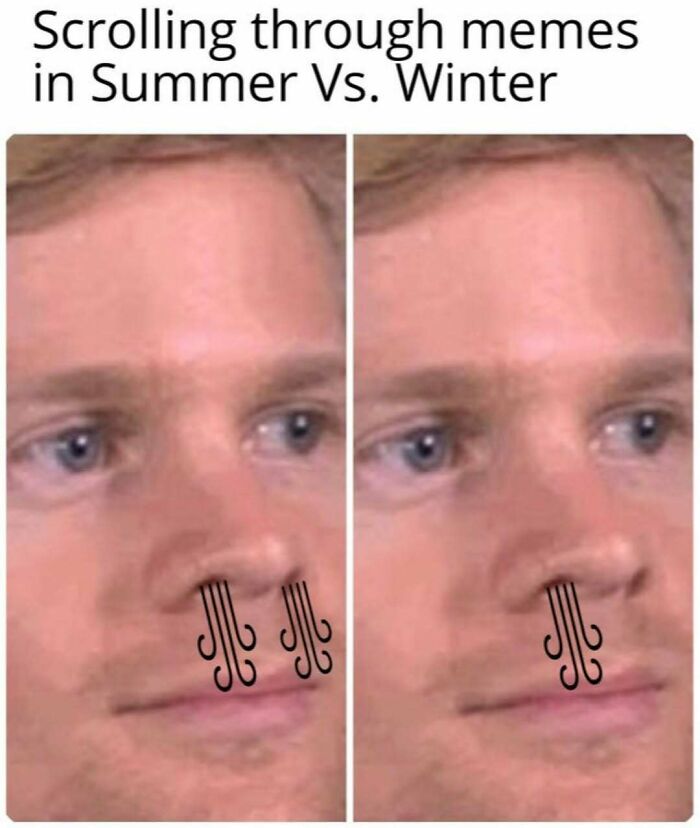 Funny meme comparing scrolling through memes in summer versus winter