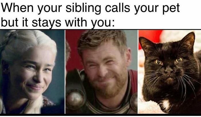 Humorous meme about sibling calling pet but pet stays with you featuring TV characters