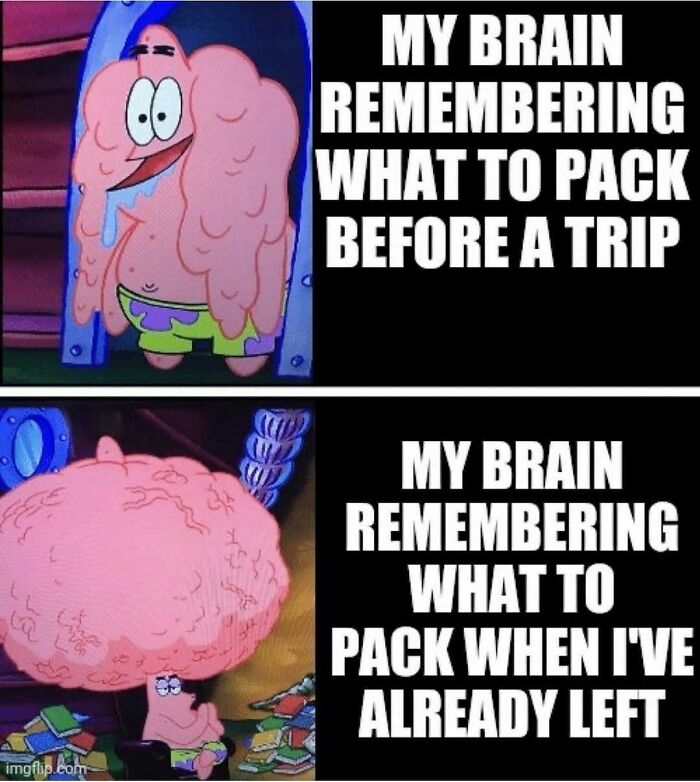 Silly meme of Patrick Star showing brain remembering what to pack before and after leaving for a trip