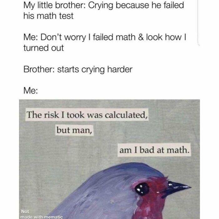Funny silly meme about failing math and bad at math joke with bird