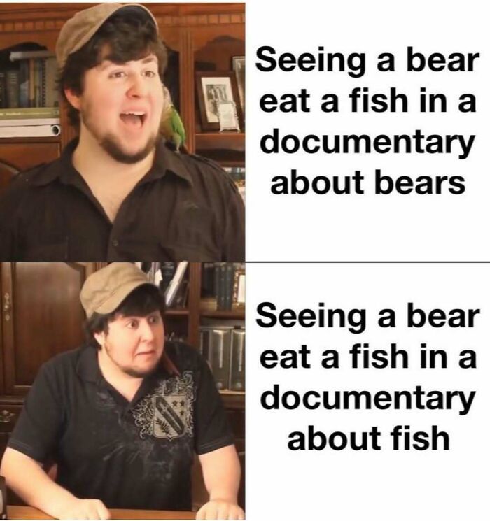 Funny silly meme with shocked man reacting to bear eating fish in different documentaries