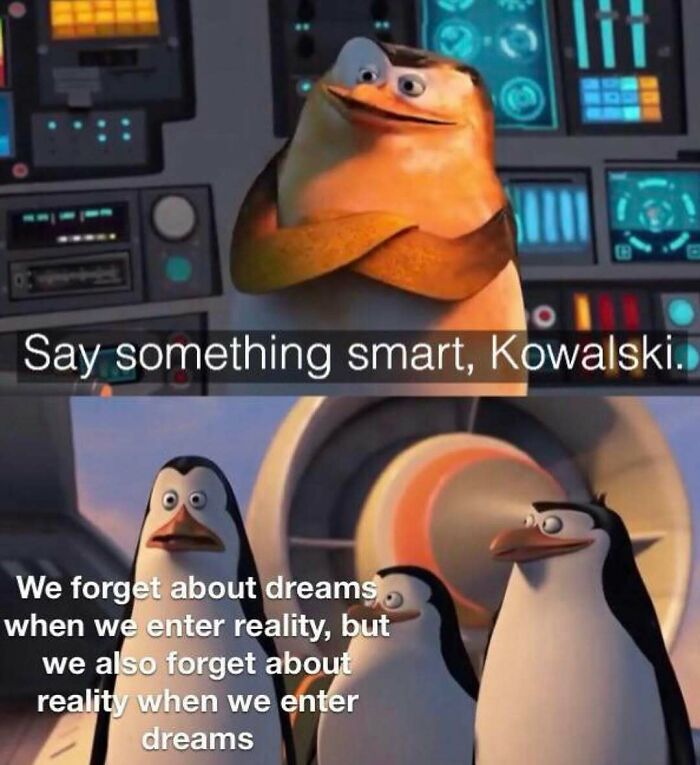 Funny silly memes with penguins discussing dreams and reality in animated scene