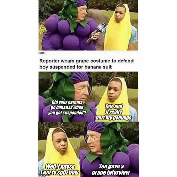 Reporter in grape costume interviewing boy in banana suit meme with puns