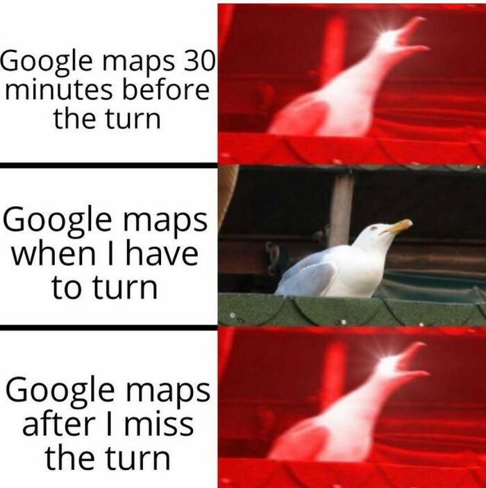 Funny Google Maps meme with seagull showing turn navigation frustration