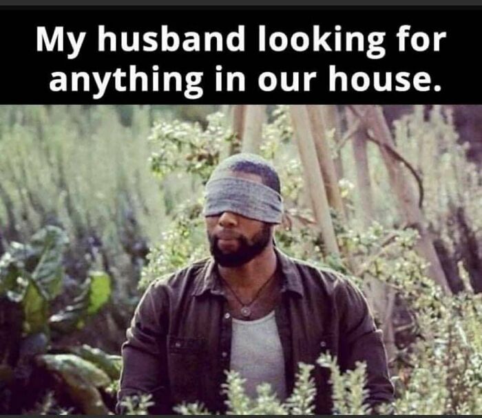 Husband looking blindfolded for anything in the house meme