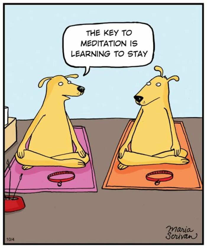 Two dogs meditate on yoga mats, with one dog explaining the key to meditation is learning to stay, in a Maria Scrivan comic.