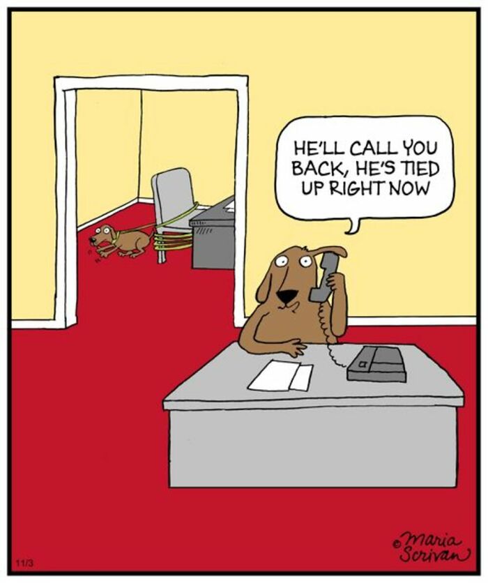Funny comic by Maria Scrivan of a dog at a desk, answering the phone about another dog tied up.
