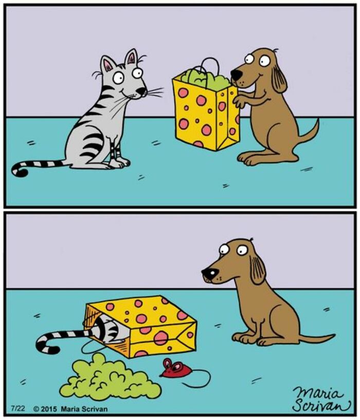 Humorous comic by Maria Scrivan of a dog giving a gift box to a cat, then the cat is inside the box.
