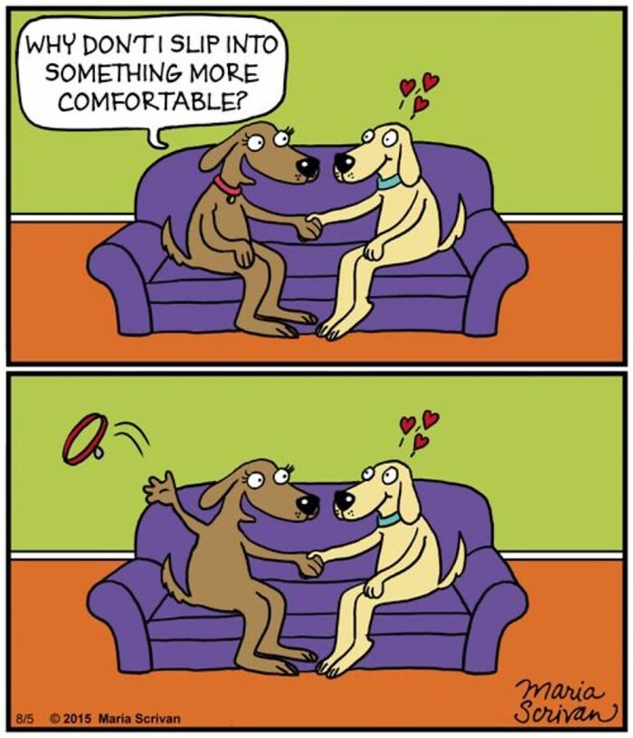 A comic by Maria Scrivan featuring a dog couple on a couch; one asks to get comfortable, then removes its collar.