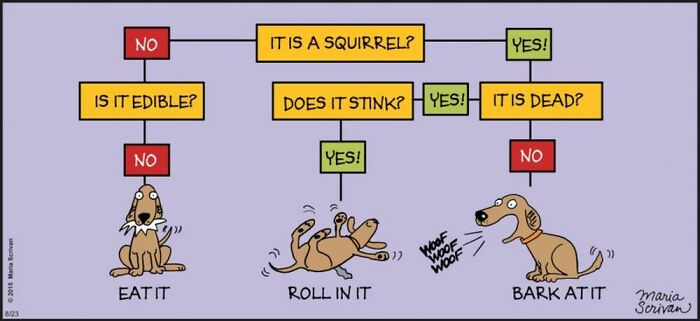 A funny Maria Scrivan comic flow chart illustrating a dog's decision-making process for reacting to a squirrel or other scents.