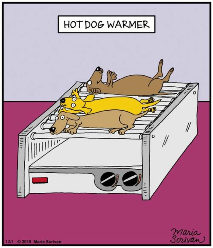 A comic by Maria Scrivan showing two dogs using a third dog as a hot dog warmer. This dog comic is familiar to dog owners.