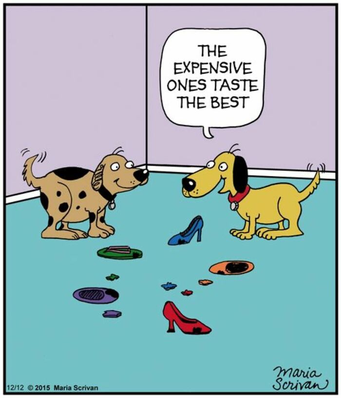 A comic by Maria Scrivan where two dogs discuss which shoes taste best. This dog comic is familiar to dog owners.