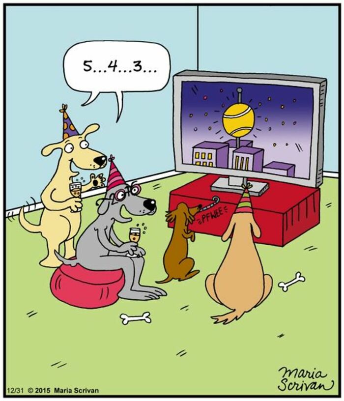 A comic by Maria Scrivan showing several dogs in party hats watching a countdown on TV for New Year's. This dog comic is familiar to dog owners.