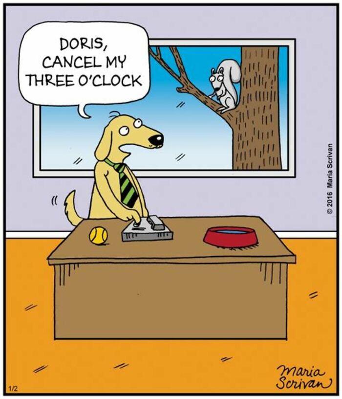 A comic by Maria Scrivan of a dog in a tie at a desk, telling a squirrel outside to cancel its meeting.
