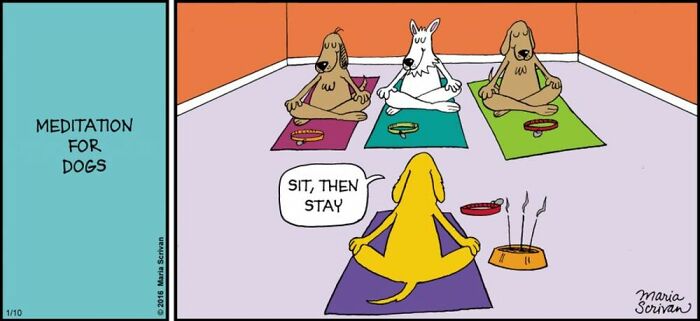 Maria Scrivan comic showing a dog leading a meditation session for other dogs, instructing them to sit then stay.