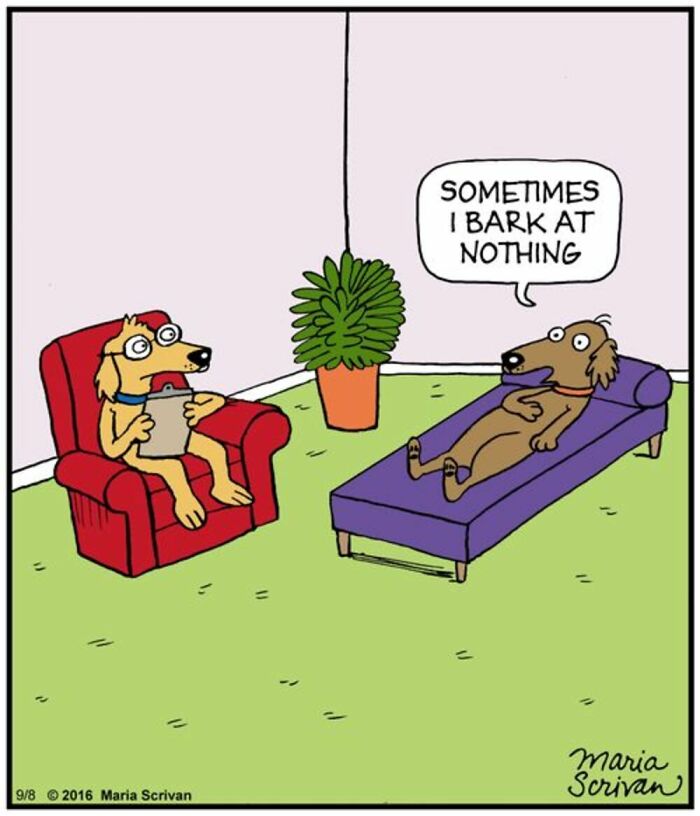 A dog therapist listens to a brown dog on a couch who states If You Have A Dog: Sometimes I bark at nothing.