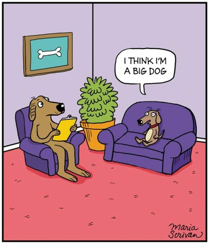 A small dog tells a larger dog, acting as a therapist, If You Have A Dog: I think I'm a big dog.