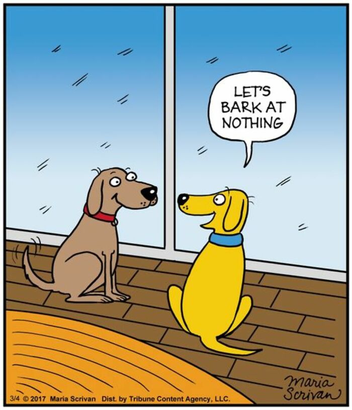 A comic by Maria Scrivan featuring two dogs by a window, one suggesting barking at nothing, a relatable moment if you have a dog.
