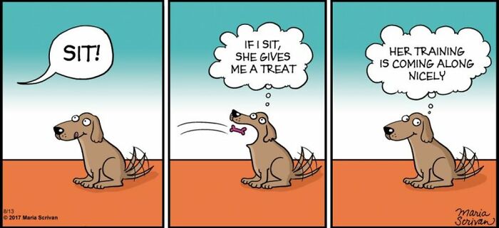 A comic by Maria Scrivan depicting a dog training its owner to give treats when it sits, a common scenario if you have a dog.