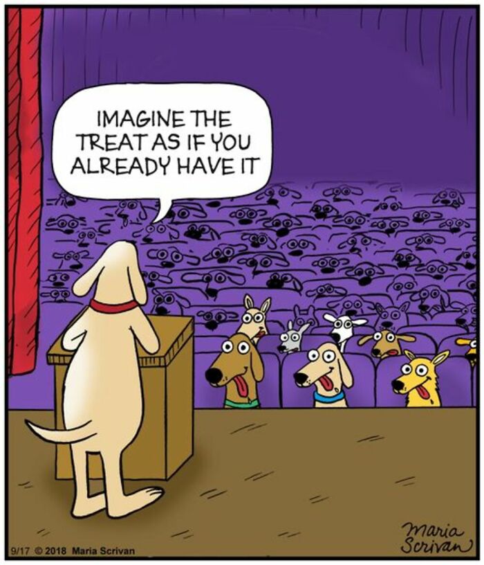 A comic by Maria Scrivan where a dog gives a motivational speech about treats to an audience of dogs, a familiar dog behavior.