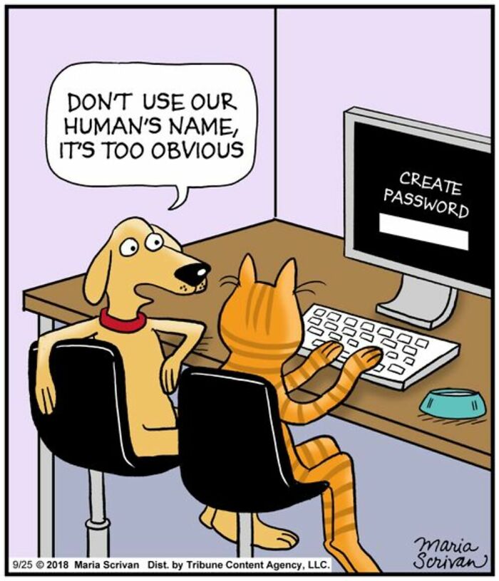 A comic by Maria Scrivan showing a dog and a cat creating a password, highlighting familiar pet behaviors.